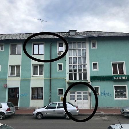 Vintage Apartment Suceava Luaran gambar
