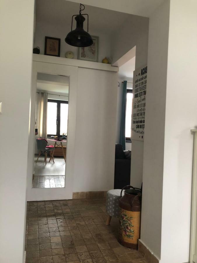 Vintage Apartment Suceava Luaran gambar